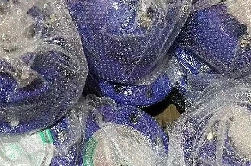2025091115070629911